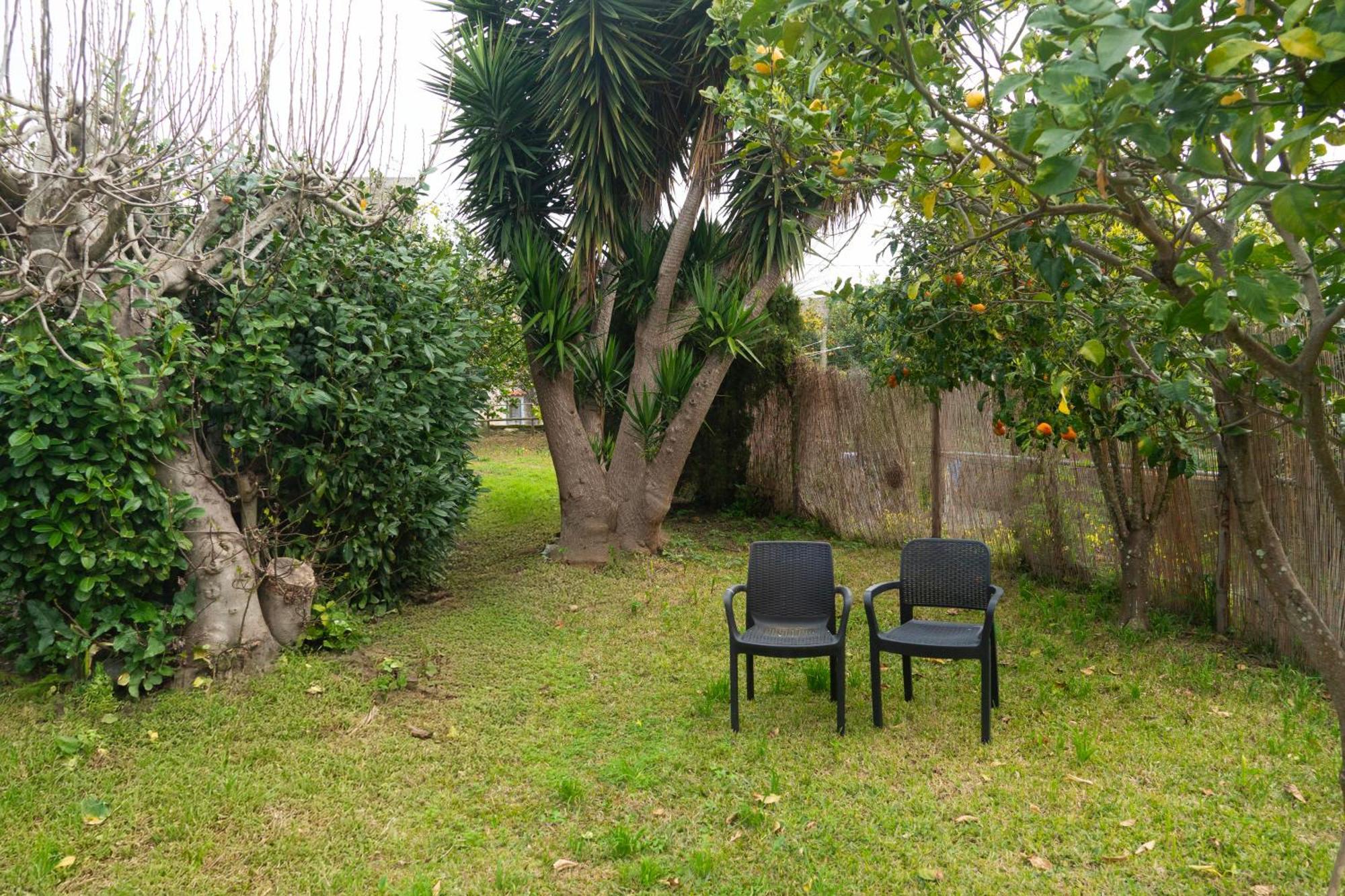 La Terrazza Sul Giardino Apartment Прочида Екстериор снимка
